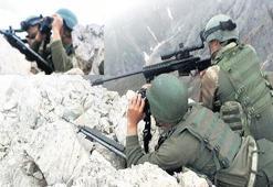 Dersim karış karış arandı