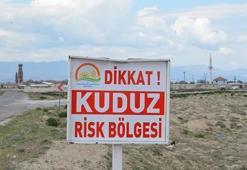 Ereğli'de 'kuduz' paniği