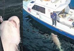 Avrupa’nın en büyük Jaws’ı