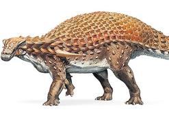 Heykel gibi dinozor fosili