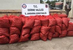 Edirne'de 1.6 ton kaçak midye ele geçirildi