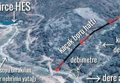 Derenin canını böyle aldılar