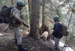 PÖH timlerinden PKK'ya darbe