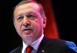 Cumhurbaşkanı Erdoğan altın madalya kazanan sporcuları kutladı