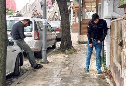 Sokaklarda 500 bin zombi geziyor
