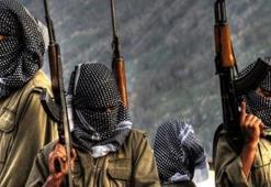 PKK'da çözülme devam ediyor! Hakkari'de iki terörist teslim oldu