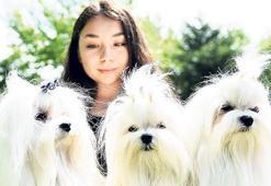 250 köpek ırkının en iyisi Eskişehir’de seçilecek