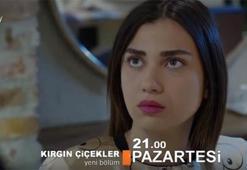 Kırgın Çiçekler 87. bölüm fragmanı yayınlandı!