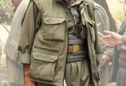 PKK'nın Van sorumlusu öldürüldü!