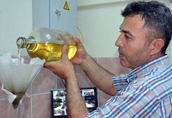 Kilosunu 50 bin TL'ye satıyor!