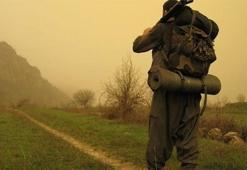 PKK, 2016'da Avrupa'da terör estirdi