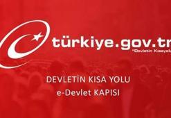 E-Devlet giriş nasıl yapılır? E-Devlet şifremi unuttum, ne yapmalıyım?