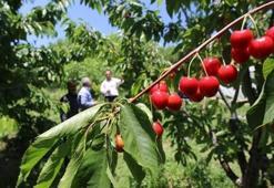 Manisa'dan çıkıyor! AB ülkeleri sıraya giriyor