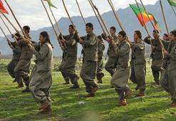 Alp eteklerindeki PKK eğitim kampı EUROPOL raporunda