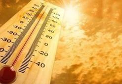 Dünya Meteoroloji Örgütünden rekor sıcak hava uyarısı