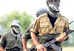 İsviçre Alplerinde PKK kampı!