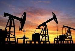 Fransa petrol ve gaz arama lisansı vermeyecek