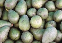 Avokado ve chia iştahı kesiyor!