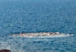 Çanakkale'deki patlamayla ilgili üç korkutan iddia!