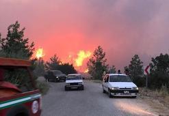 Denizli'de orman yangını çıktı!