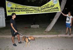 Adana’da, ‘kuduz’ karantinası