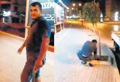 Reklam panosu  görünsün diye  ağaçları kestiler