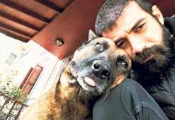 Elveda sevgili dostum