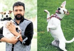 Kendine rol yazdıran köpek Mithril