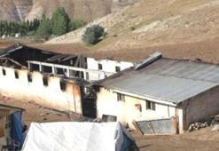 Sivas'ta 83 koyun yanarak telef oldu