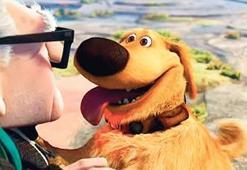 ‘Köpekçe’yi anlayacağız