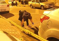 Köpek gezdirme tartışması cinayetle bitti: 1 ölü 1 yaralı