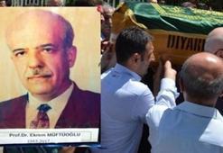 'Kanser uzmanı' profesörün acı kaderi