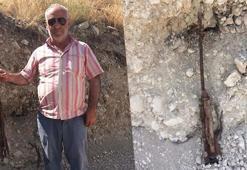 Yol çalışması sırasında tarihi tüfek bulundu