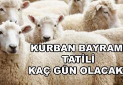 Kurban Bayramı tatili kaç gün sürecek? 2017 Kurbanlık fiyatları