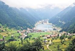 Uzungöl’de ‘macera parkı’