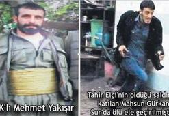 O PKK'lının yeğeni de polis katili çıktı