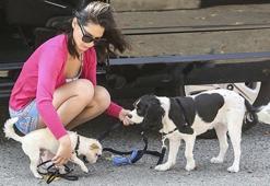 Set arasında köpek gezdirdi!