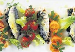 Sardalya ve çingene palamudu zamanı