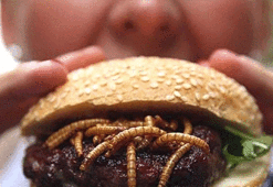 Un kurdu içeren hamburger satışına izin veren ilk Avrupa ülkesi!