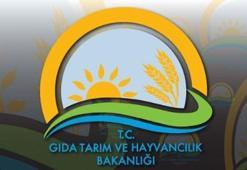 Tarım havzalarında 21 ürün desteklenecek