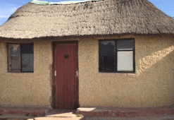 "İnsan eti yemekten bıktım" diyerek polise teslim oldu!