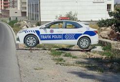 Kayseri'de 8 maket trafik polis aracı iş başında!
