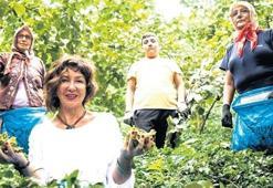 Giresun’a lezzet yolculuğu