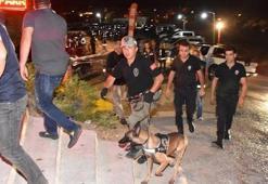 Bodrum'da huzur operasyonu