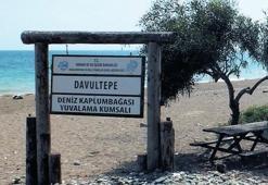 Koruyacağız!