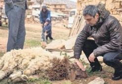 Yeni film için kurban kesti!