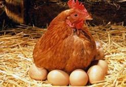 Ağustos’un zam şampiyonu belli oldu