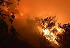 Alevler Zeytinköy'ün tamamını sardı!