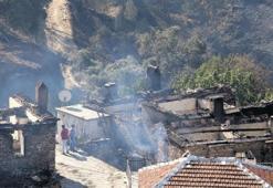 Hem orman hem de köy kül oldu