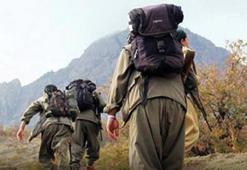 İş adamının PKK'ya para aktardığı iddiası